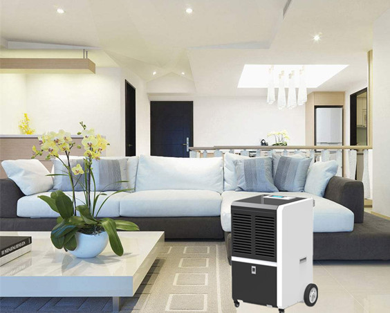 7 Healthy Reasons To Get A Dehumidifier For Your Home